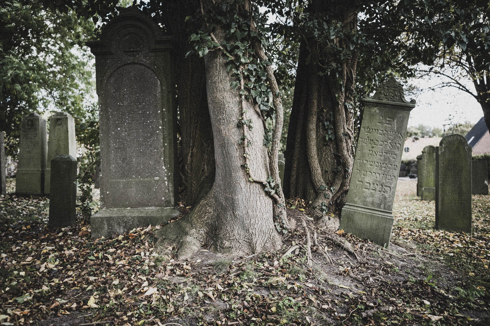 Leer (Ostfriesland), Jüdischer Friedhof